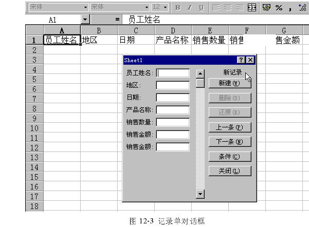 建立和使用Excel数据清单